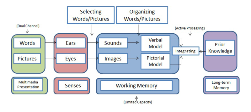 cognitive theory of multimedia learning
